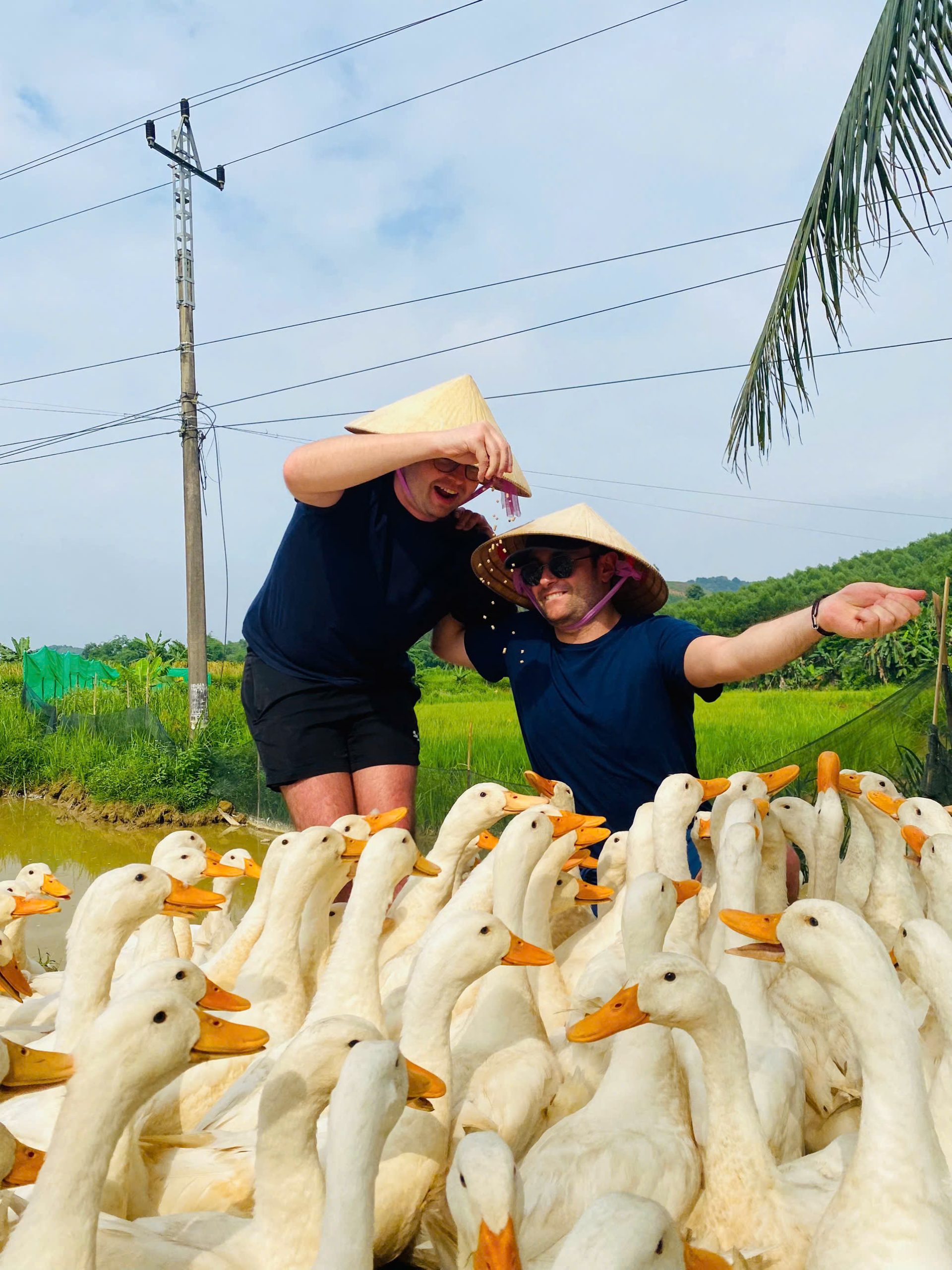 z6985647304125_aba83cab2567b09723e5086b1573e8ad z6985647304125_aba83cab2567b09723e5086b1573e8ad